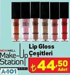 LİP GLOSS LİP GLOSS